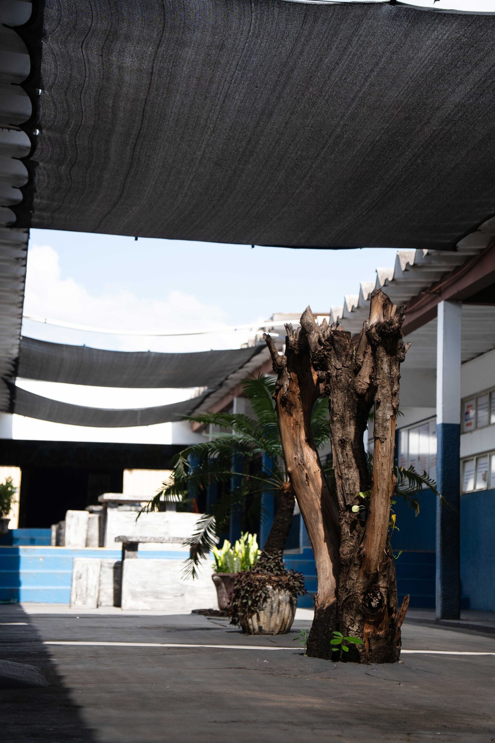 Entrada Colégio Exato