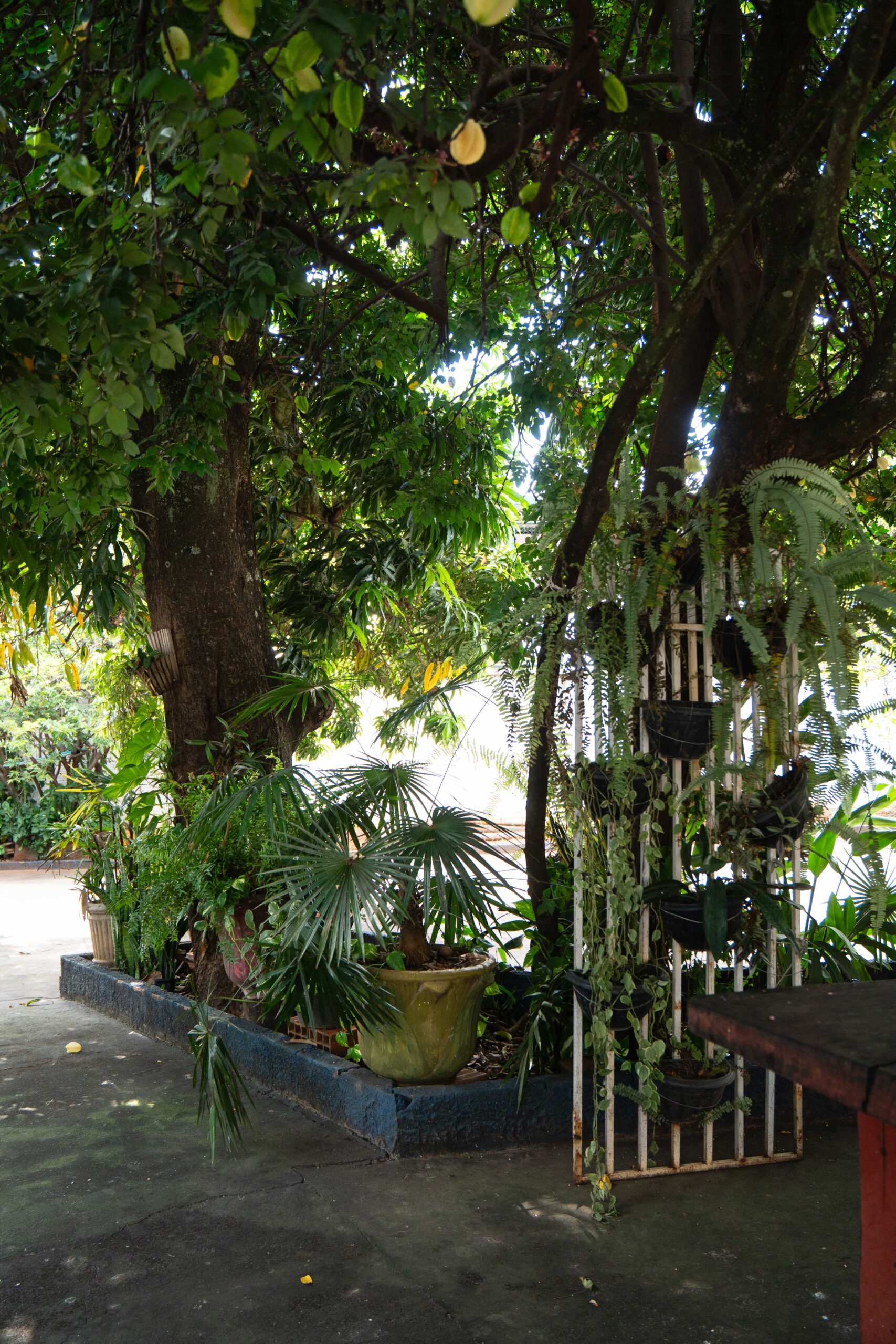Área Natural