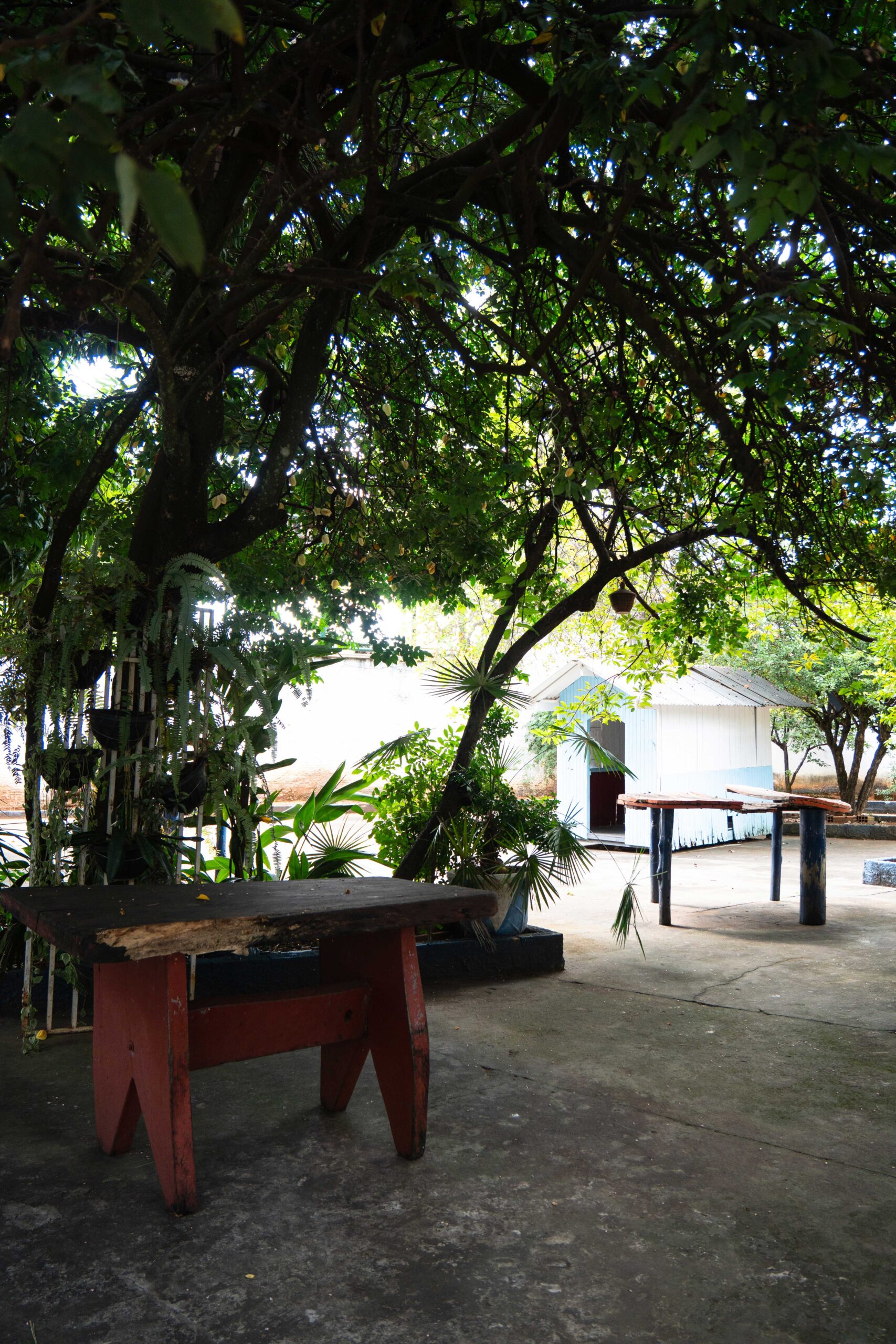 Espaço Natural Nárnia